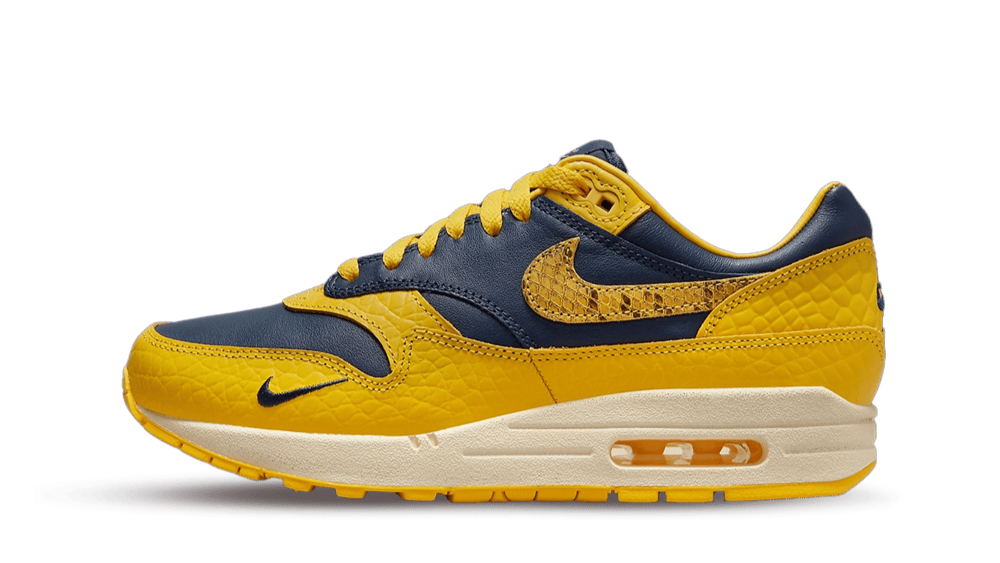 Nike Air Max 1 CO.JP Michigan Head to Head