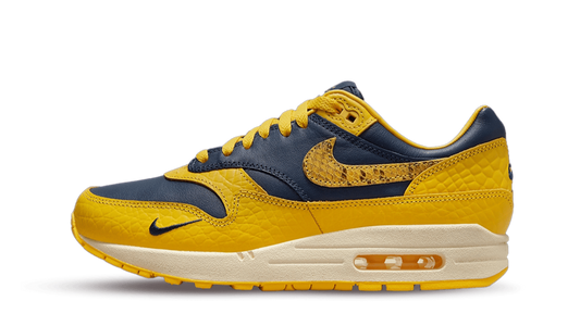 Nike Air Max 1 CO.JP Michigan Head to Head