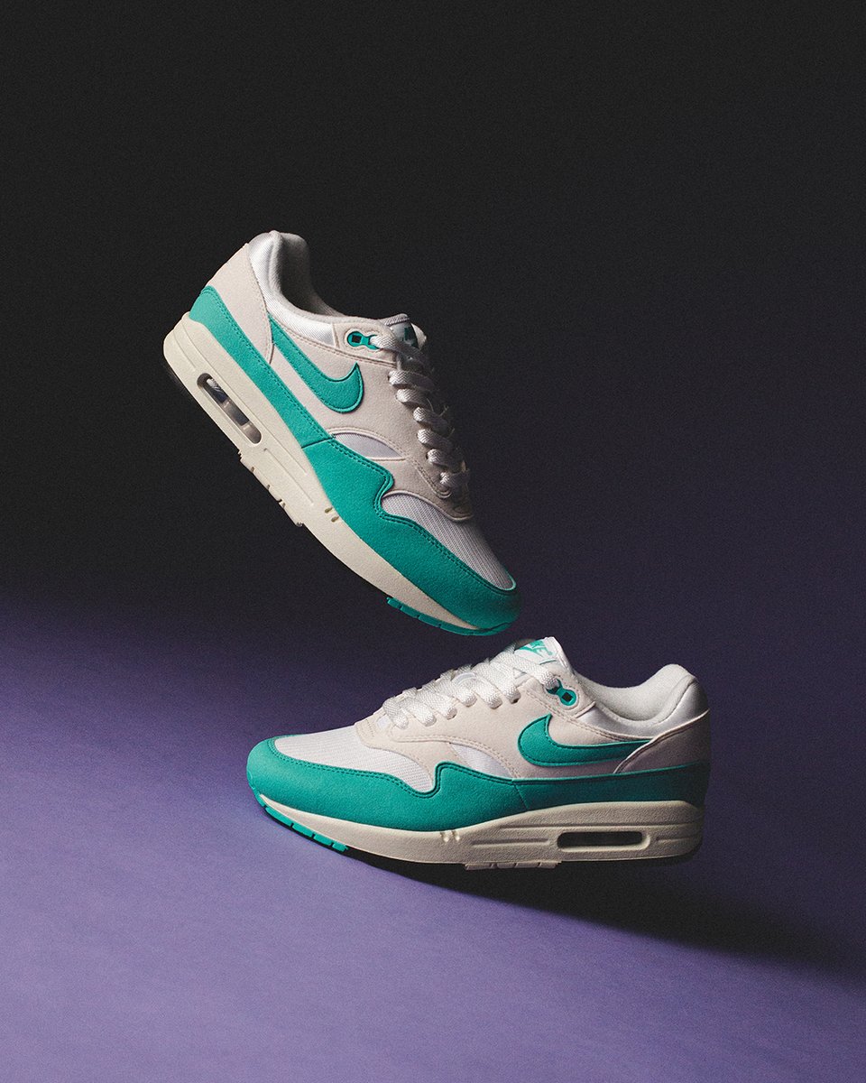 Nike Air Max 1 Dusty Cactus