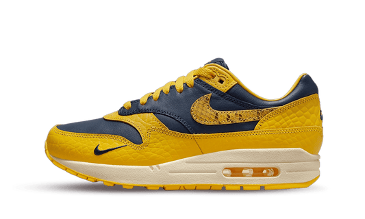 Nike Air Max 1 CO.JP Michigan Head to Head