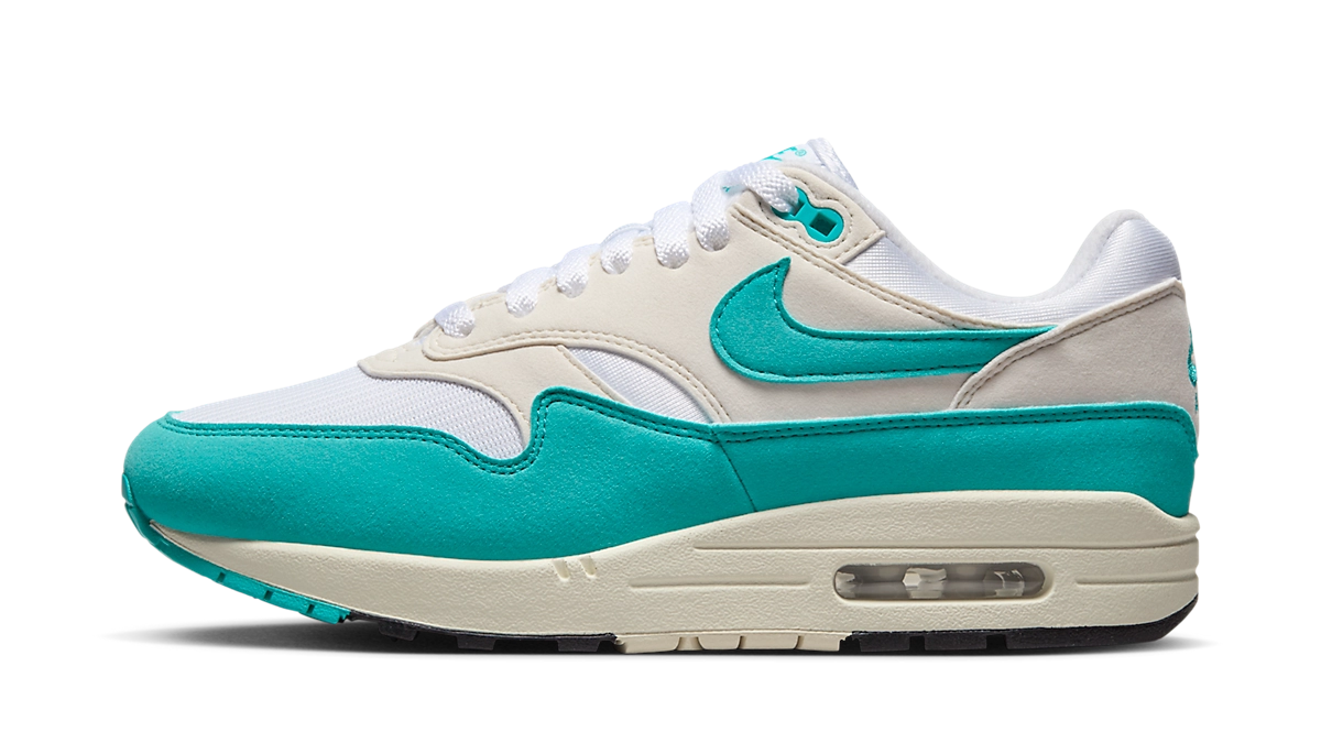 Nike Air Max 1 Dusty Cactus