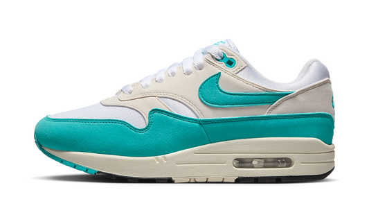 Nike Air Max 1 Dusty Cactus