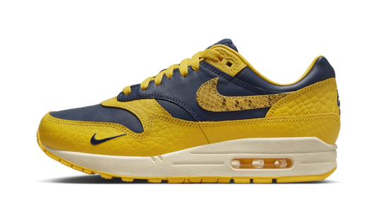 (2e KANS): Nike Air Max 1 CO.JP Michigan Head to Head - 44