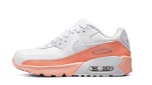 Nike Air Max 90 Leather Rainbow Salmon
